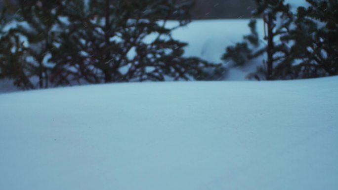 东北大风雪天气车被大雪覆盖