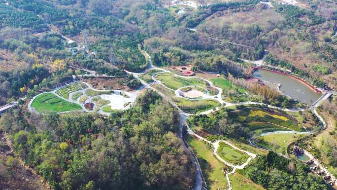 浮山 太平山 山头公园 城市更新 老虎山