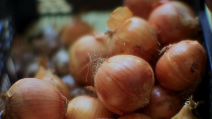 生洋葱特写镜头-从花园新鲜的大生洋葱