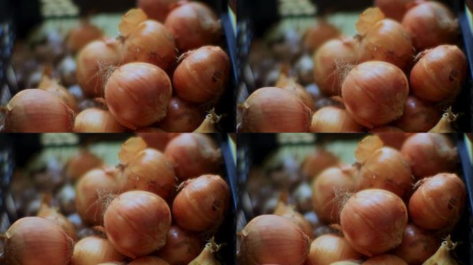 生洋葱特写镜头-从花园新鲜的大生洋葱