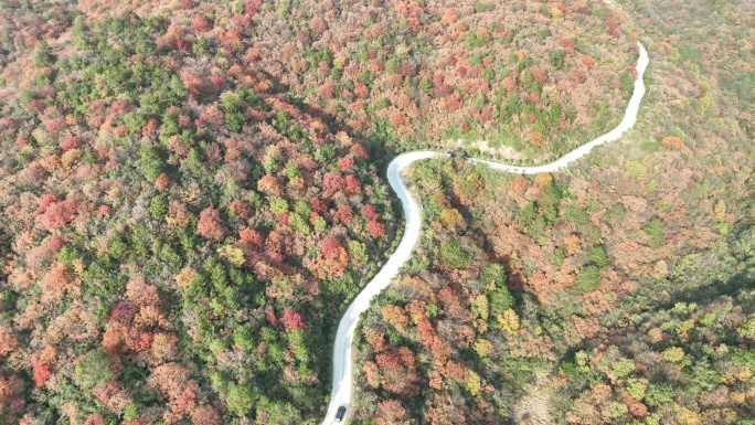 湖北荆门：层林尽染 冬景如画