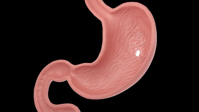 药物肠胃分解扩散保护胃粘膜