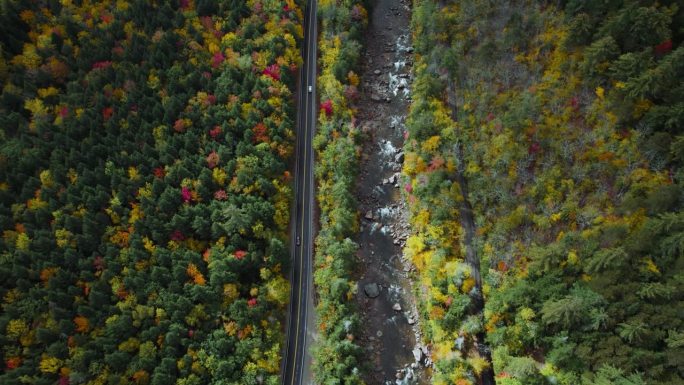 令人惊叹的康卡马格斯公路航拍与秋天秋天的树叶