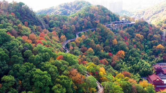 台州市椒江区白云山，绿道边的风光