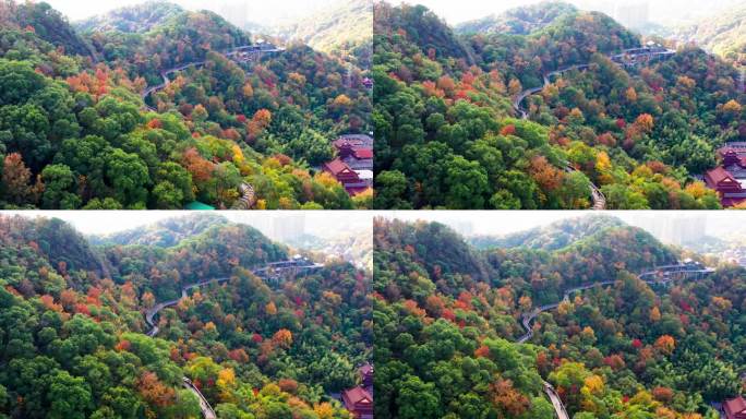 台州市椒江区白云山，绿道边的风光