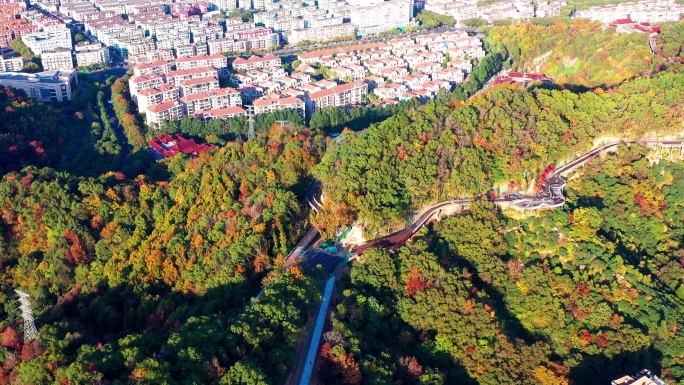 台州市椒江区白云山，绿道边的风光