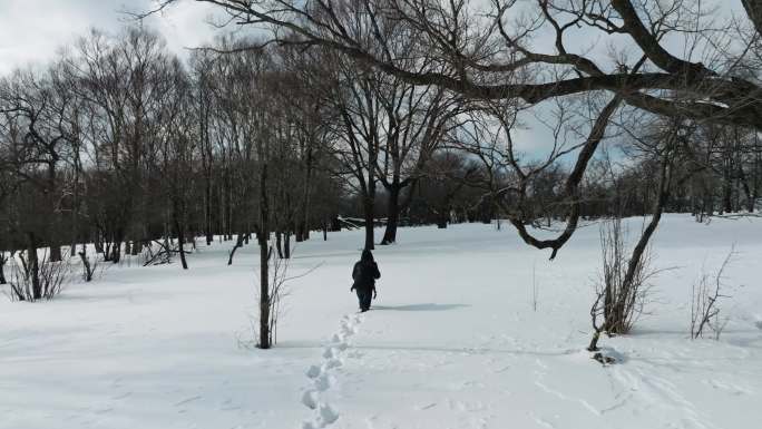 4K冬天冰天雪地人物在雪地艰难行走下雪