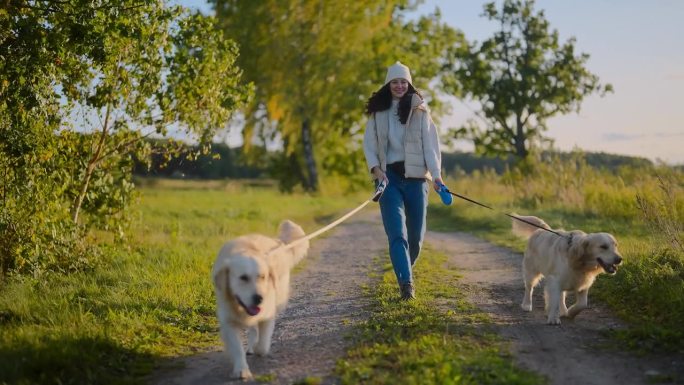 一个女人牵着两条金毛猎犬在散步。穿暖和的衣服