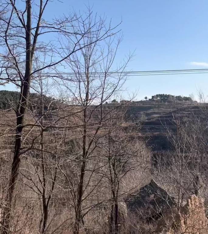 乡村初冬风景