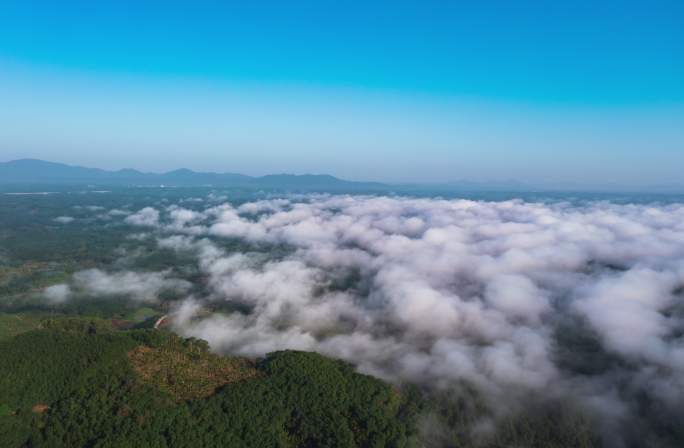 海南琼中云海航拍延时4K