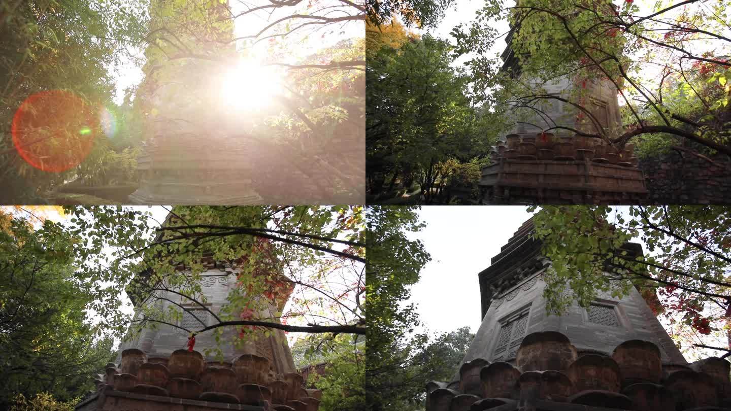 北京戒台寺视频素材