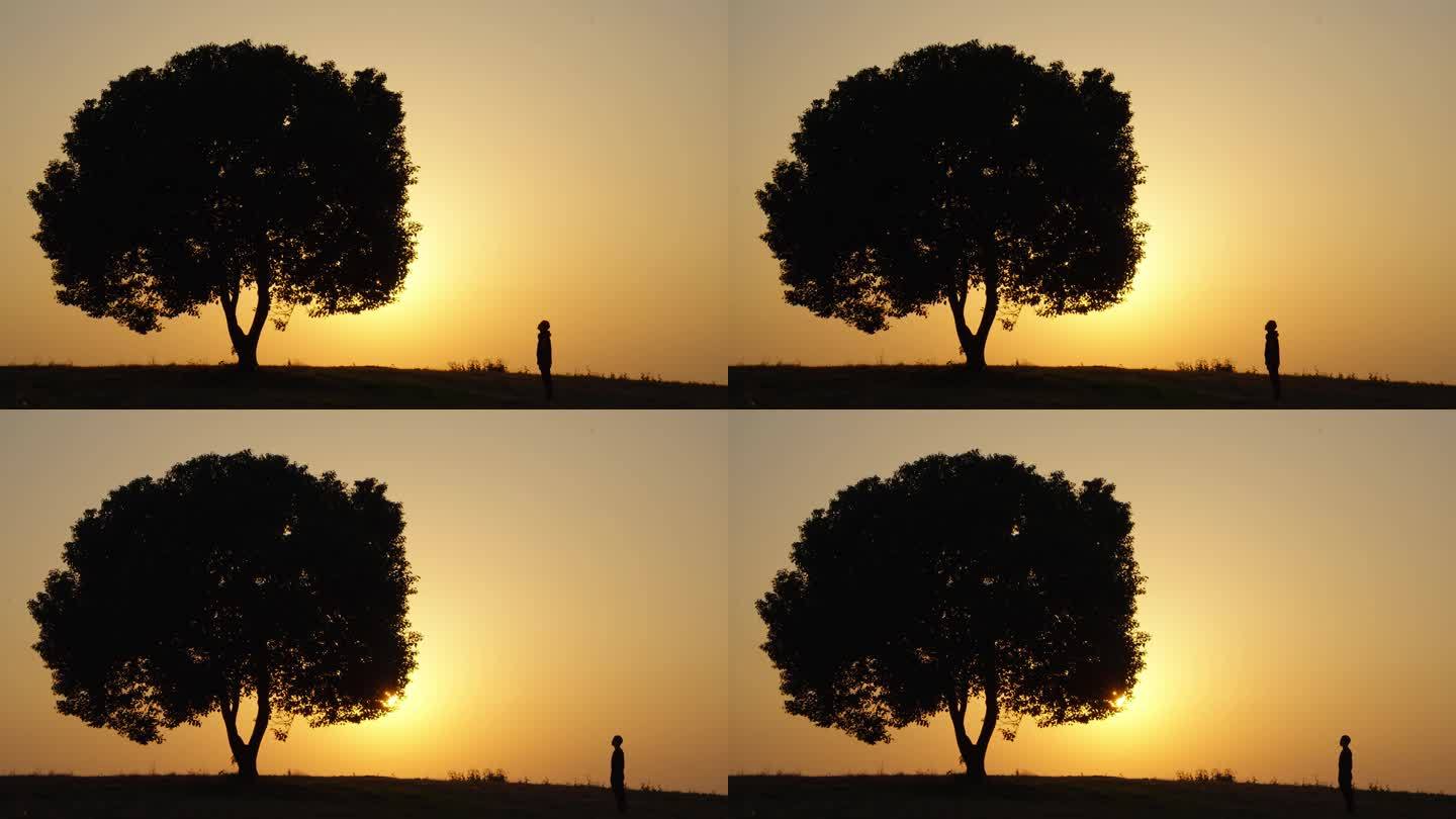 (4k商用) 一棵大树 孤独的人 写意