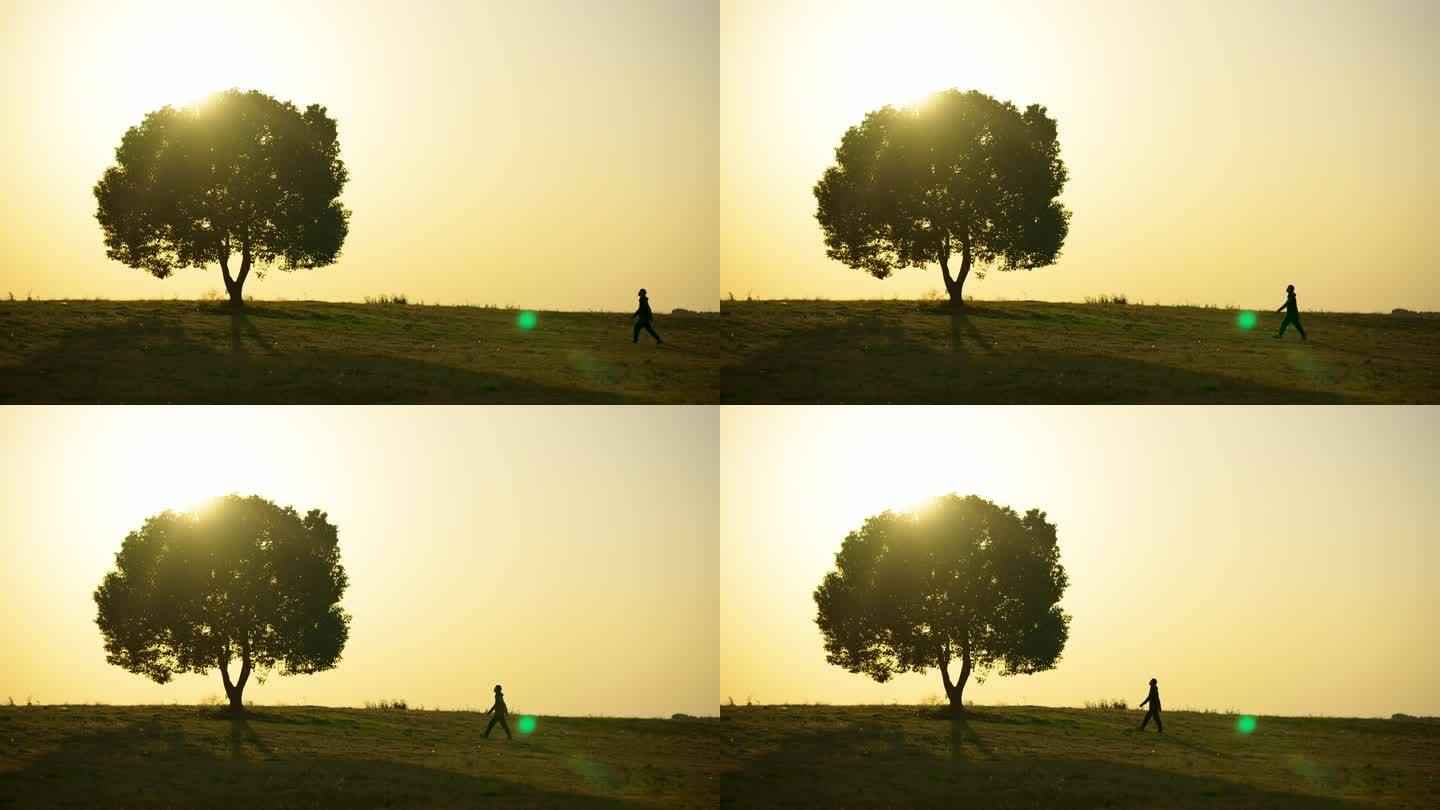 (4k原创)一个人走向一棵树 一个男人