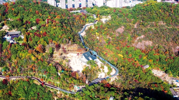 台州市椒江区白云山，绿道边的风光