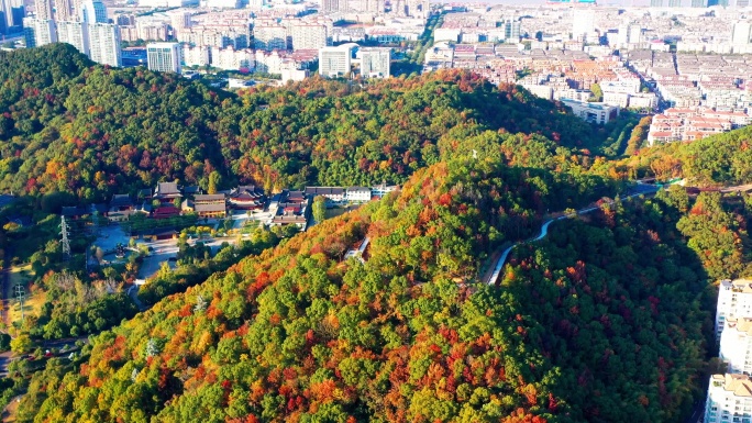 台州市椒江区白云山，绿道边的风光