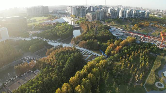 前滩休闲公园 上海前滩 黄浦江 城市清晨