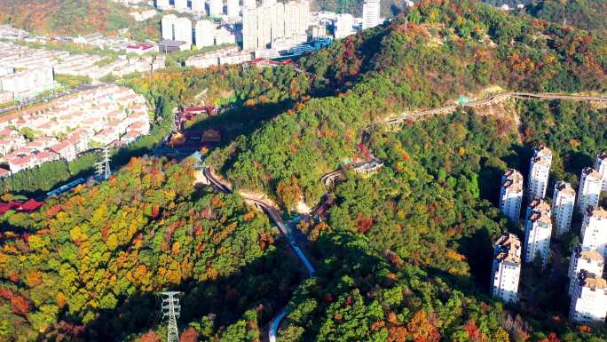 台州市椒江区白云山，绿道边的风光