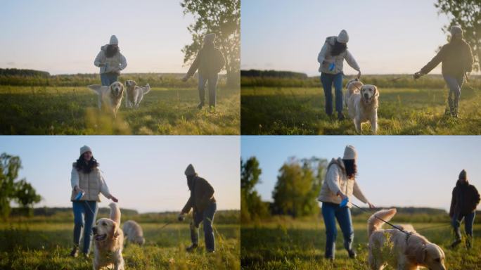 两个女人牵着皮带在草地上遛着两只顽皮的金毛猎犬。穿暖和的衣服