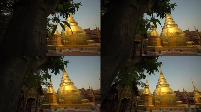 日落时分，美丽柔和的光线反射在寺院后面的镀金建筑上。月亮从树后斜露出来，挂在天上。