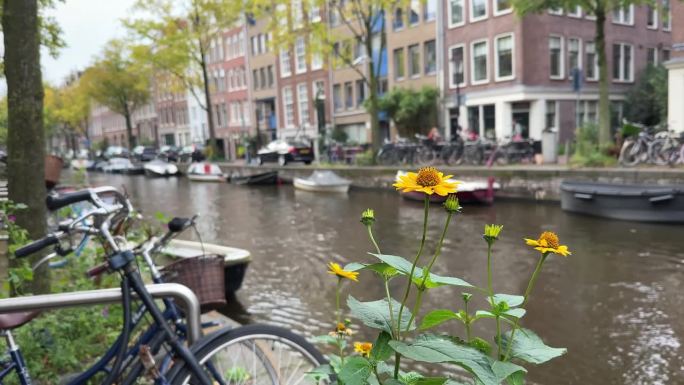 秋天，阿姆斯特丹运河上停满了船只和自行车