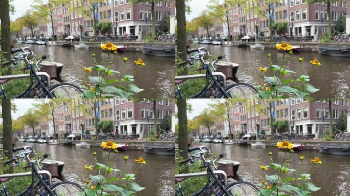 秋天，阿姆斯特丹运河上停满了船只和自行车