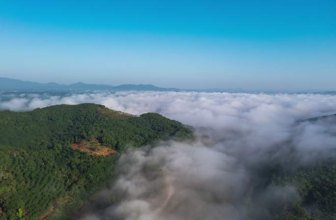 海南琼中云海航拍延时4K