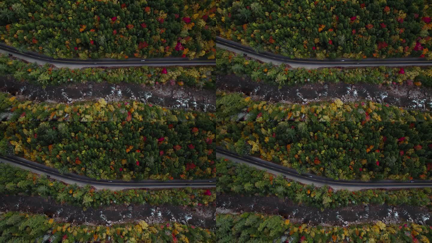 坎卡马格斯公路与秋天的森林树叶在新罕布什尔州，自上而下的航拍