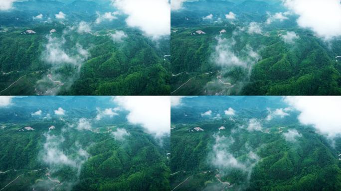4K大自然山峰森林云雾航拍视频