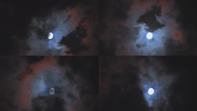 月光月黑风高 月光下的小狗云