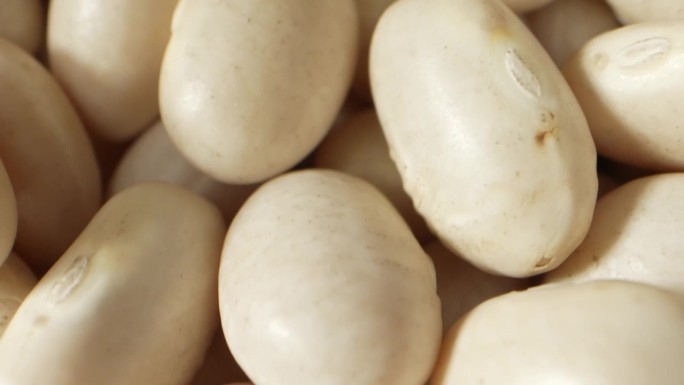 优雅的白芸豆:复杂的曲线，光滑的天鹅绒质感