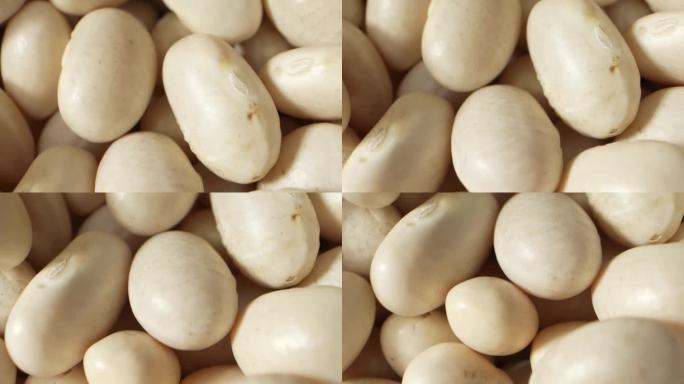 优雅的白芸豆:复杂的曲线，光滑的天鹅绒质感