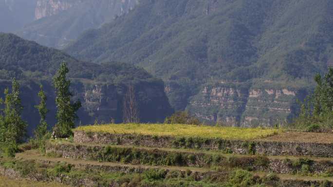 6K林州太行山顶秋天田地一组