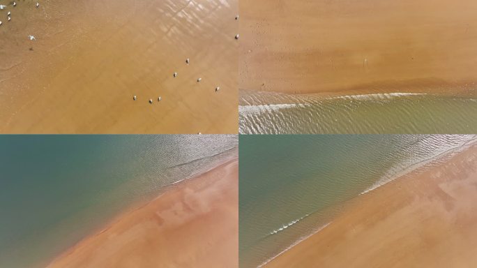 航拍海边沙滩海上一群海鸥飞翔4K实拍素材