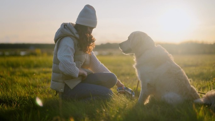 一个女人在草地上和一只金毛猎犬玩耍。教爪子指令和喂零食