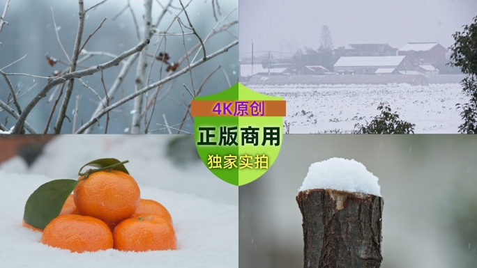 冬天冬季农村下雪鹅毛大雪纷飞