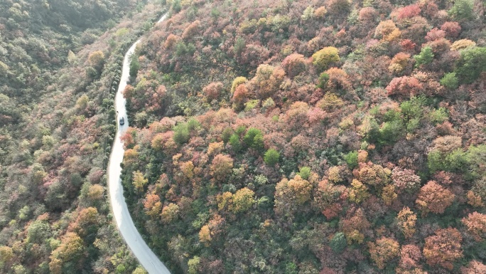 湖北荆门：层林尽染 冬景如画