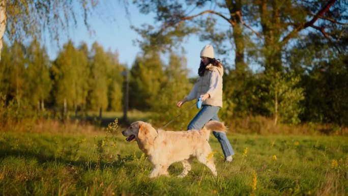 一个女人在草地上牵着一条金毛猎犬。穿暖和的衣服