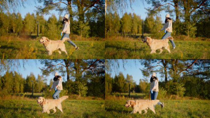 一个女人在草地上牵着一条金毛猎犬。穿暖和的衣服