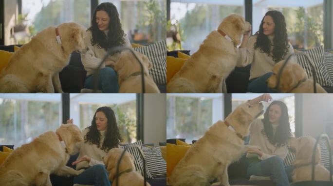 一个女人在客厅里和她的狗玩耍。给它们喂食和爱抚