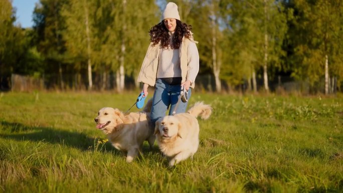 一个女人牵着两条金毛猎犬在散步