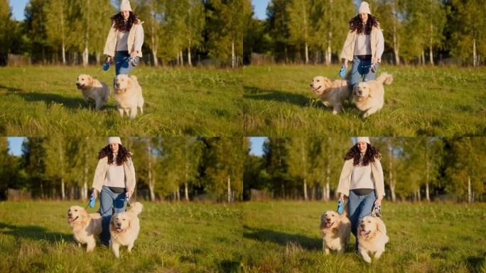 一个女人牵着两条金毛猎犬在散步