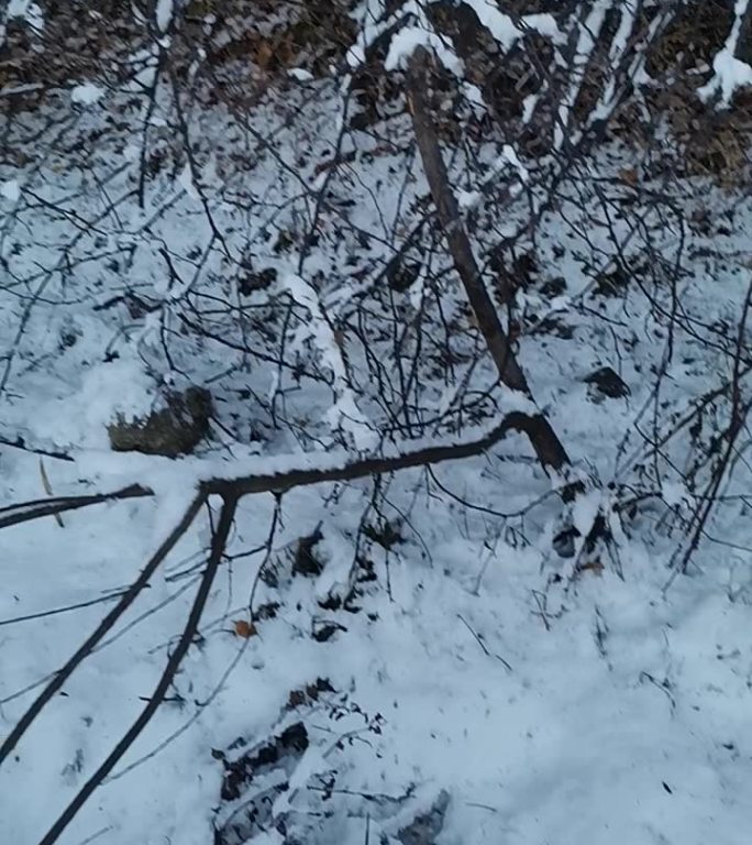 松潘下雪了