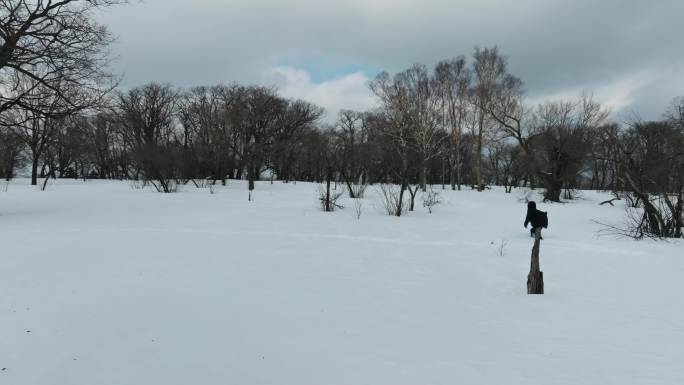 4K冬天冰天雪地人物在雪地艰难行走下雪