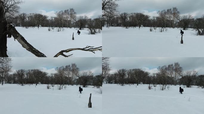 4K冬天冰天雪地人物在雪地艰难行走下雪