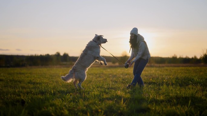 一名妇女在草地上训练金毛猎犬。把零食扔给狗，让它跳起来在半空中接住