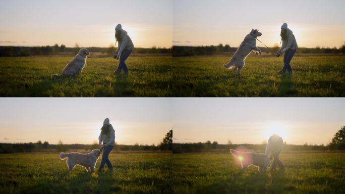 一名妇女在草地上训练金毛猎犬。把零食扔给狗，让它跳起来在半空中接住