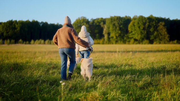 人们牵着金毛猎犬在草地上散步。穿暖和的衣服