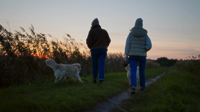 黄昏时分，两个女人在湖边的草地上遛着金毛猎犬
