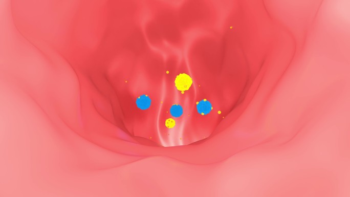 医学药物肠道吸收人体机制动画