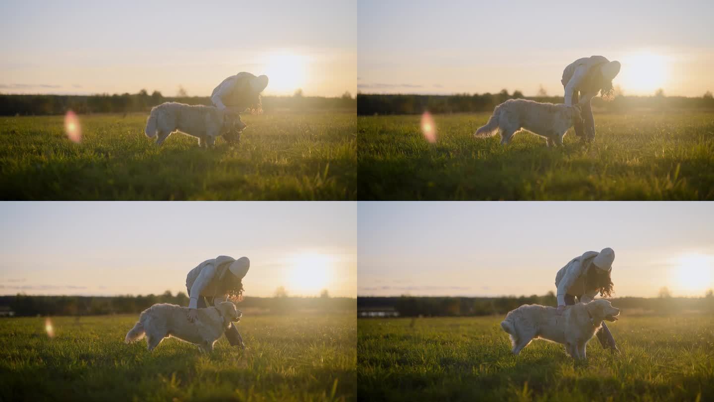 日落时分，一名女子在草地上与金毛猎犬玩耍。抚摸狗